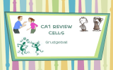 CA1 Review CELLS Grudgeball