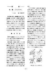 総 説 珪 藻(Diatom)