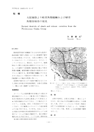 魚類脊椎骨の発見 大阪層群より軟骨魚類楯鱗わよび硬骨 短報 D