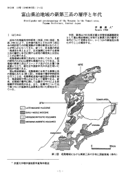      富 山県泊地 域 の新 第 三系 の層 序...