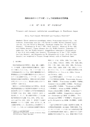 西南日本のトリアス紀・ジュラ紀放散虫化石群集