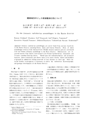 関東地方のジュラ系放散虫化石について