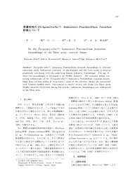 kamoensis- foveatum , 美濃地域の Dicfyomitrellα(?) kα moensis-Pαntαnellium  foveα tum