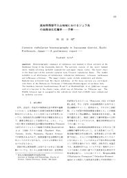 A の放散虫化石層序一一予察一一 , 2