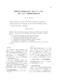 上部ジュラ系・下部白 E 系の放散虫化石 高知県四万十帯北帯の月見山・手結メランジェ中の