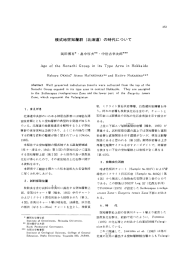 模式地空知層群(北海道)の時代について