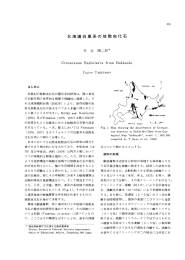 北海道白車系の放散虫化石 361 Cretaceous  Radiolaria  from Hokkaido Yojiro