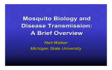 Mosquito Biology and Disease Transmission: A Brief Overview Ned Walker