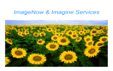 ImageNow &amp; Imagine Services