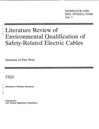 L;terature  Review  of Environmental  Qualification  of NUREG/CR-6384