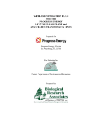 WETLAND MITIGATION PLAN FOR THE PROGRESS ENERGY LEVY NUCLEAR PLANT and