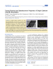 Tuning Electrical and Optoelectronic Properties of Single Cadmium Telluride Nanoribbon