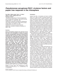 Pseudomonas aeruginosa poplar tree response in the rhizosphere