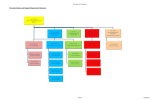 Financial Advice and Support Department Structure