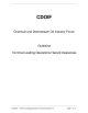 CDOIF  Chemical and Downstream Oil Industry Forum Guideline
