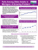 Falls Among Older Adults in Michigan: A Growing Problem  2011