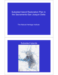 Subsided Island Restoration Plan in the Sacramento-San Joaquin Delta Subsided Islands