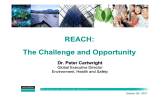 REACH: The Challenge and Opportunity Dr. Peter Cartwright Global Executive Director