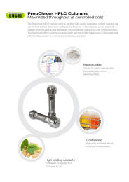 PrepChrom HPLC Columns Maximized throughput at controlled cost