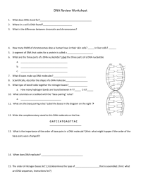 DNA Review Worksheet