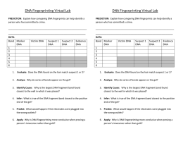 DNA Fingerprinting Virtual Lab