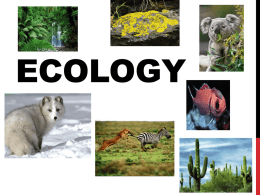 ECOLOGY