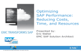 Optimizing SAP Performance: Reducing Costs, Time, and Resources