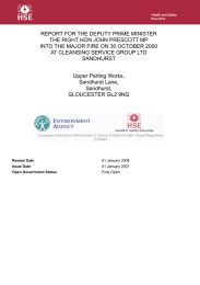 REPORT FOR THE DEPUTY PRIME MINISTER
