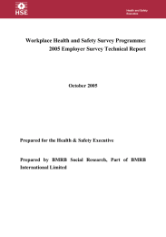 Workplace Health and Safety Survey Programme: 2005 Employer Survey Technical Report