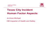 Texas City Incident Human Factor Aspects Jo-Anne Michael