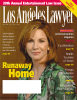 Home Runaway 20th Annual Entertainment Law Issue Anticircumvention