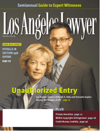 Unauthorized Entry Semiannual Guide to Expert Witnesses PLUS