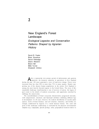 A 2 New England's Forest Landscape