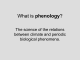 phenology The science of the relations between climate and periodic biological phenomena.