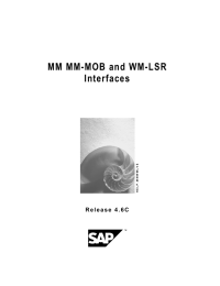 MM MM-MOB and WM-LSR Interfaces S