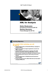 XML for Analysis Stefan Biedenstein Barbara Neumann SAP TechEd ‘03 Basel