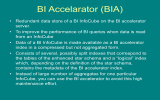 BI Accelarator (BIA)