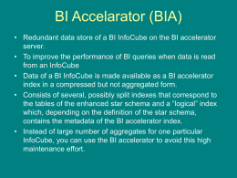 BI Accelarator (BIA)