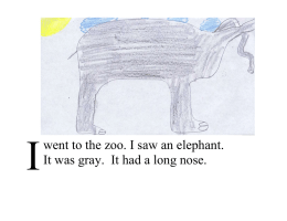 I  went to the zoo. I saw an elephant.