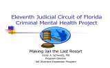 Eleventh Judicial Circuit of Florida Criminal Mental Health Project