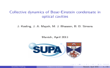Collective dynamics of Bose–Einstein condensate in optical cavities Munich, April 2011