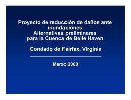 Proyecto de reducción de daños ante inundaciones Alternativas preliminares