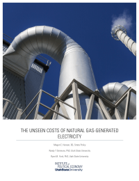 THE UNSEEN COSTS OF NATURAL GAS-GENERATED ELECTRICITY