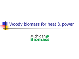 Woody biomass for heat &amp; power