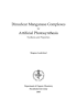 Dinuclear Manganese Complexes Artificial Photosynthesis  for