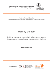Walking the talk Political consumers and their information search