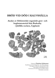 BRÖD VID DÖD I KALVSHÄLLA Analys av förhistoriskt organiskt grav- och