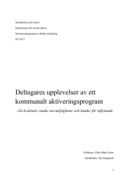 Deltagares upplevelser av ett kommunalt aktiveringsprogram