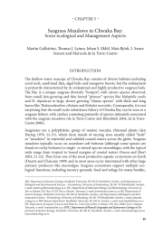 Seagrass Meadows in Chwaka Bay: Socio-ecological and Management Aspects