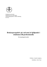 Brukarperspektiv på vad som är hjälpande i relationen till professionella En kunskapsöversikt